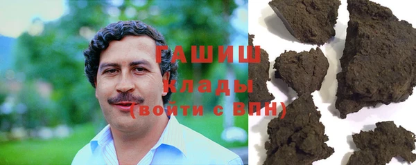 индика Приозерск