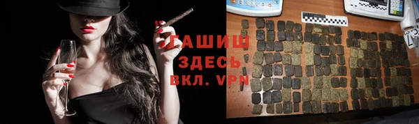 индика Приозерск
