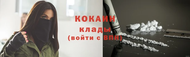 дмт Верея
