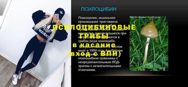 2c-b Богданович